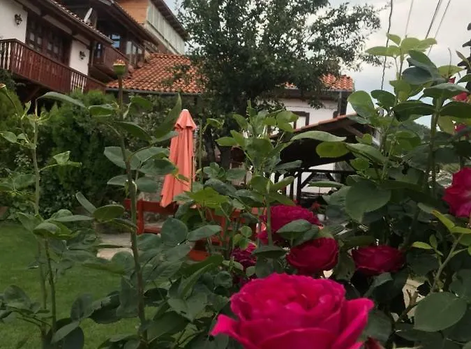 Sharkov ゲストハウス 2*